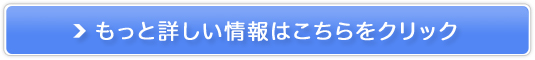 ǂ̍Ӗv̔TCg